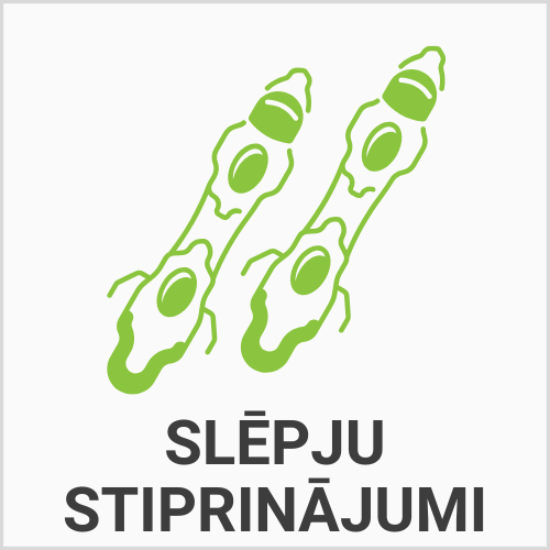 Stiprinājumi